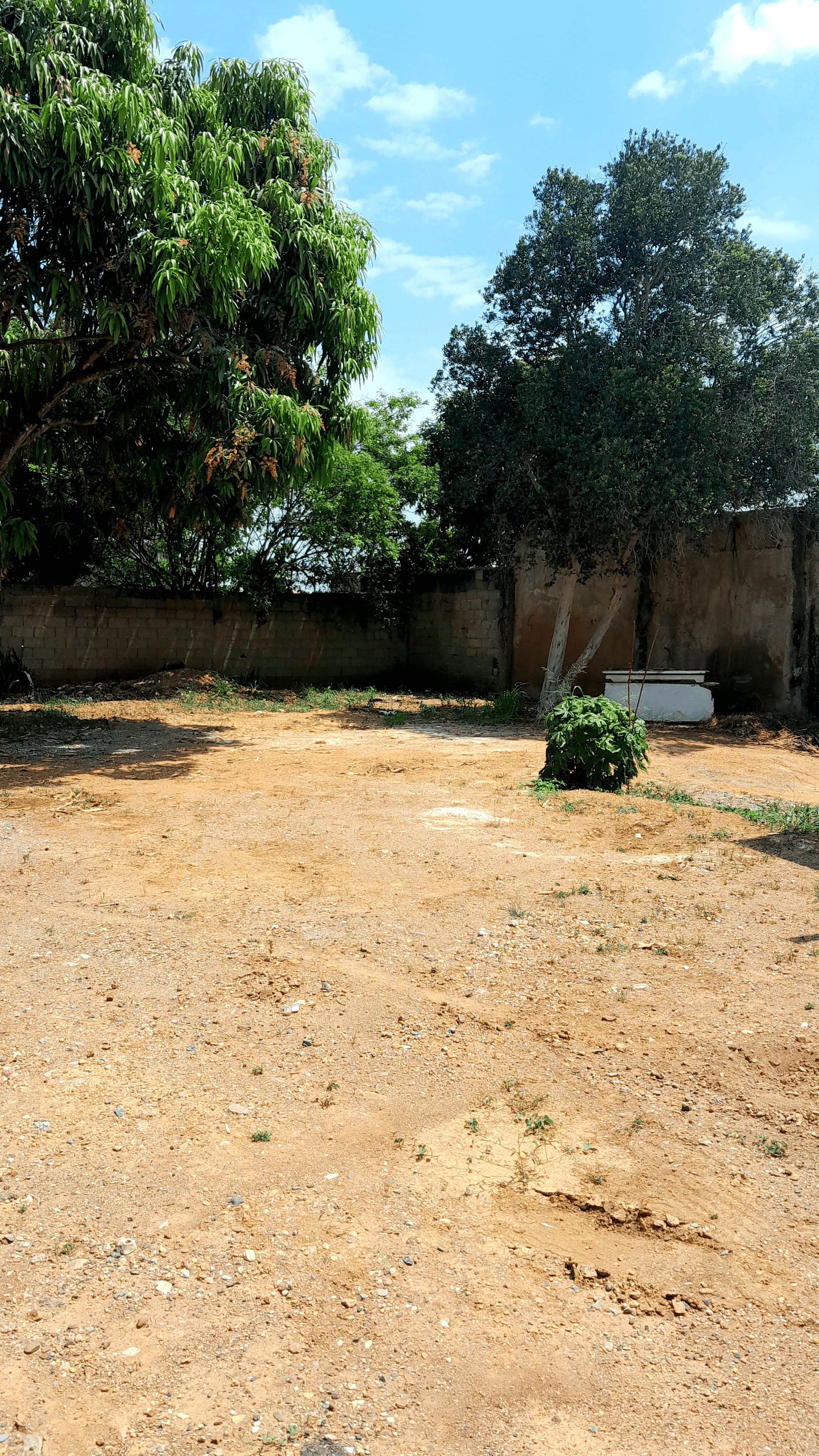 Imagen de Terreno Comercial: 🏗️ Terreno Comercial 528m² en Carrera 59, Barquisimeto, Lara-Iribarren. 0 habitaciones, 0 baños, 528 m². En Venta.