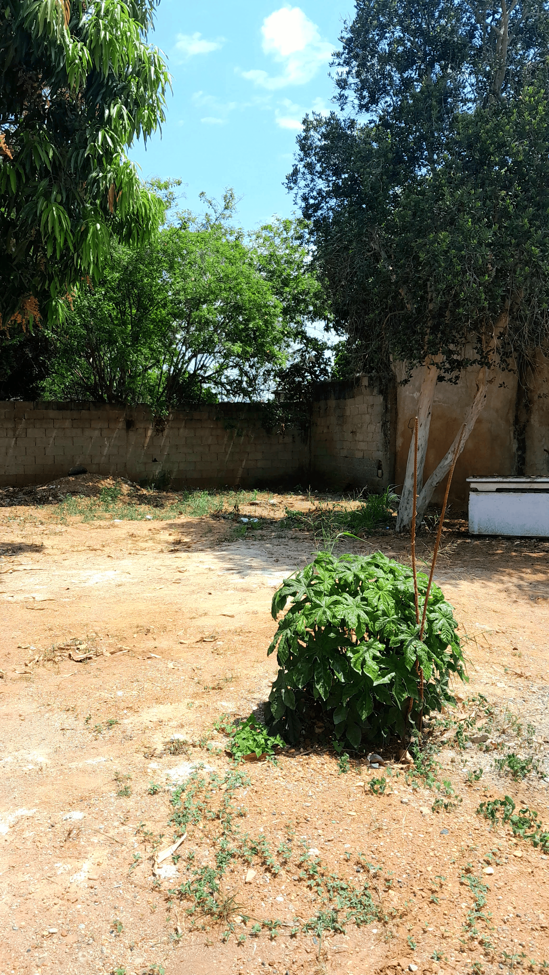 🏗️ Terreno Comercial | 528m² | Carrera 59 | $42.000 - Imagen 4